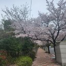 2024 평생교육 강사 역량강화 연수 이미지