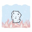 스토리PC랩 영통점 | 나아직휴가에살아요