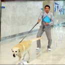 순수 이미지