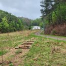 영산농장 이미지