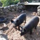 몬딱쉼터 이미지