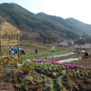 인해농원 이미지