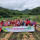 합천자원 이미지