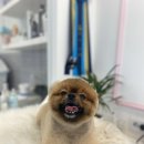 깍고밀고이발 이미지