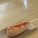 바이블스테이 | 여행 (엄지네포장마차,오브더모먼트,정남미명과,스테이안목을담다,산소울,윤슬서림,마켓우붓,그옛날초당...