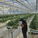 진도농장 이미지