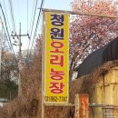 청원오리농장