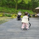 그린나래어린이집 | 돌아기 일상복 쇼핑 그린나래 와이드코튼팬츠, 래글런 셋업 실구매후기