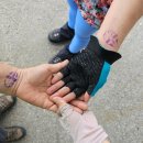 지리산둘레길 2코스 이미지