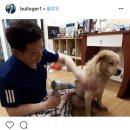 시시