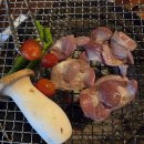 키히키히