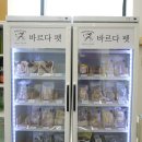 바르다펫 대전점 이미지