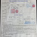 그레이렌트카