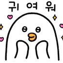 애플매트경기동부지사 이미지