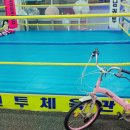 성남권투 이미지