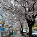 GS25 학익중앙점 이미지