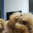 (주)니드플러스