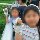 거창-고제-5 이미지