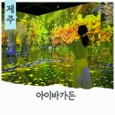 주식회사 미디어인 | 제주 실내 놀거리 애월 아이바가든 미디어아트 관광지 데이트