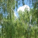 금실모텔 이미지