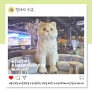인테리어도 음식도 최고 공세동맛집 오앤오화덕피자앤그릴 내돈내산 후기