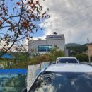 무릉도원면사무소 이미지