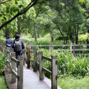 다슬기 반딧불이 이미지