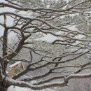송*하 - 미추홀구 낙섬서로10번길 21-10 | 송*하