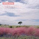 신화역사공원입구1 2 | 제주 안덕면 가볼만한곳 신화역사공원 제주 메밀밭 황화코스모스 꽃구경 명소