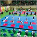 한양대 우리 태권도장 | 만수동태권도 안전하고 즐거운 태권도 체험하기