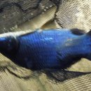 다낚아 낚시카페 김해점 이미지