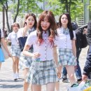 김청하 카카오 검색결과