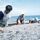 울진평해우체국 이미지