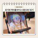 버터플라이 | 부가부 버터플라이2 내돈내산 후기 | 데저트토프 색상, 양주 베이비하우스 구매 (5개월 사용 솔직리뷰)