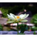 차나한잔