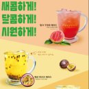 딥골드카페앤베이커리 | 전주 삼천동 수제 바스크 케이크가 맛있는 딥골드카페앤베이커리