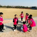 석사경희태권도 이미지