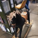 하슬라로 192번길 이미지