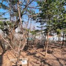 쌈지마당 화장실 이미지