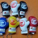 타이혼 복싱 킥복싱 이미지