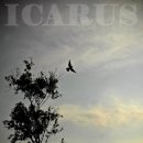ICARUS 이미지