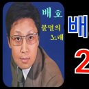 배호 노래모음 28곡 이미지