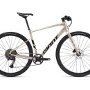 자이언트 피트니스 이미지