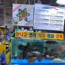 포구로 | 2025 소래포구 축제 후기( + 진경이네 수산)