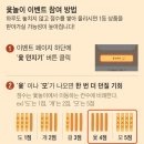 팡팡주머니