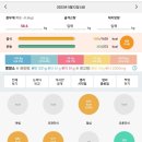 행복한금돼지 이미지