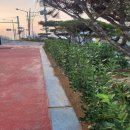 동이면행정복지센터 이미지