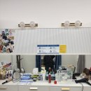 나성동 BRT앞 | 세종 나성동 증명사진 추천_메모리픽 스튜디오 세종점 촬영 후기