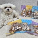 퍼스트독앤캣 | 기름에 튀기지 않은 오븐 베이크 강아지 간식 더독앤캣 미트 팝콘링 콤보 키트 후기