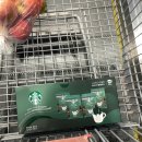 빛울림한의원 | 2025.12.8~18/ 한약, 요가, 전시, 고양이, 농구, 배탈, 흰죽